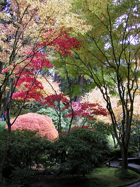 PB058346-m.jpg