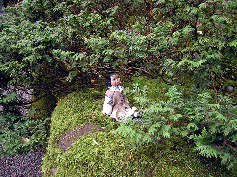 PB058347-m.jpg