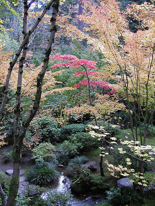 PB058361-m.jpg