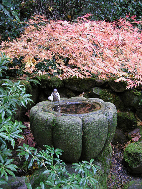 PB058372-m.jpg
