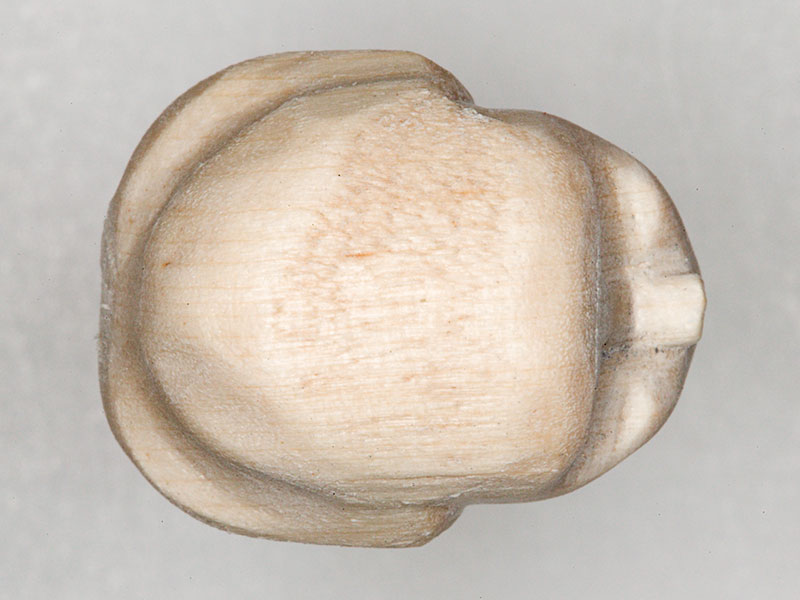 C6062796r-m.jpg