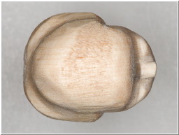 C6062796r-m.jpg