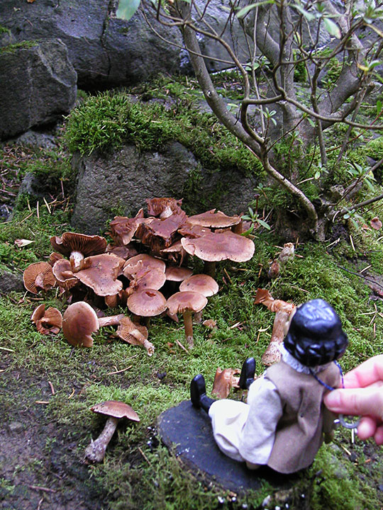 PB058357-m.jpg