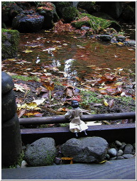 PB058338-m.jpg