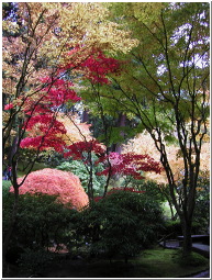 PB058346-m.jpg