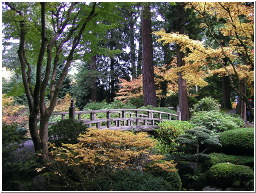 PB058348-m.jpg