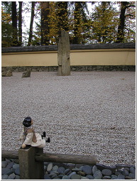 PB058359-m.jpg