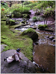 PB058366-m.jpg