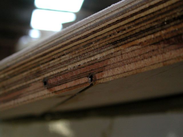 dscn2008-1.jpg