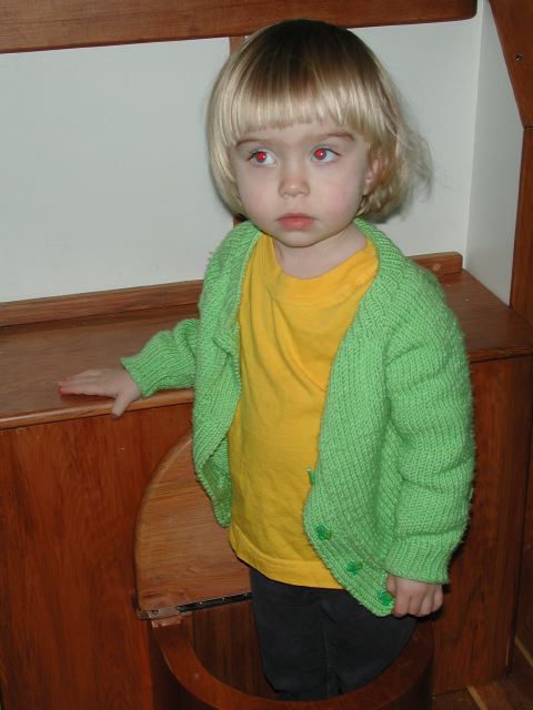 dscn6585.jpg