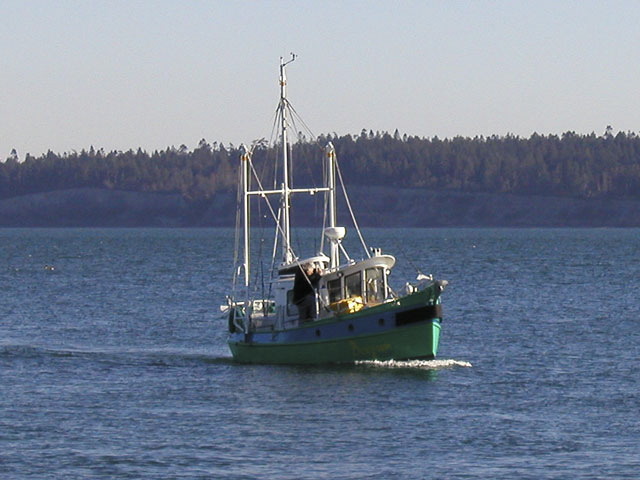 p2261743-c-boojum.jpg